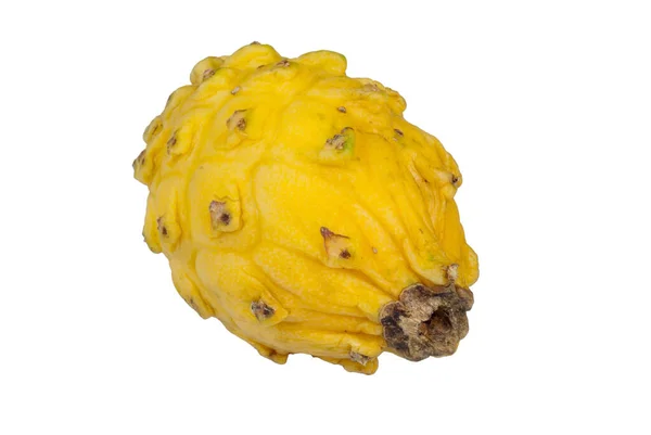 Gelbe Pitaya Oder Bio Drachenfrucht Aus Tropischen Regionen Guatemalas — Stockfoto