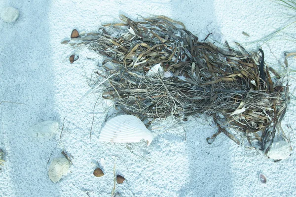 在沙地上一堆堆木枝和破碎的海贝壳的俯瞰 — 图库照片