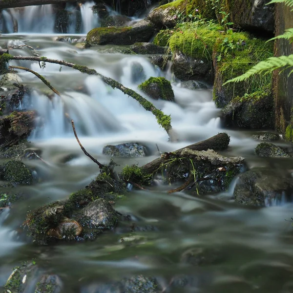 Přirozený Pohled Kaskádu Malého Potoka Lese Dlouhou Expozicí — Stock fotografie