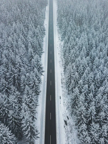 Lange Rechte Weg Door Het Mistige Winterbos — Stockfoto