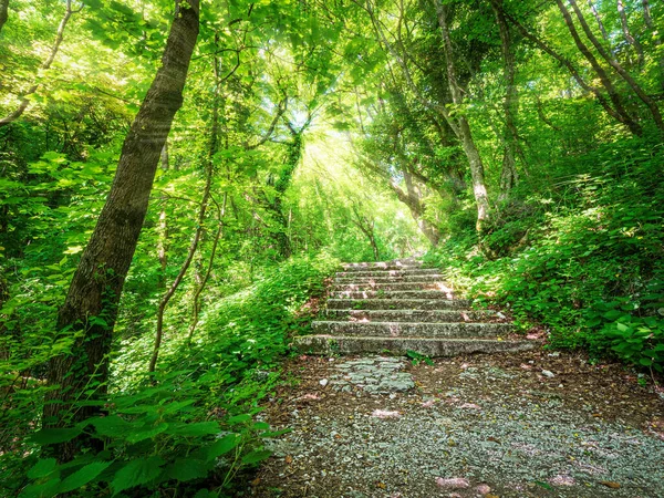Infierno Verde Con Escaleras Hasta Cielo —  Fotos de Stock