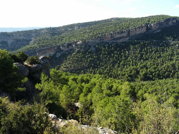 Una Montagna Verde Sotto Cielo Una Giornata Sole — Foto Stock