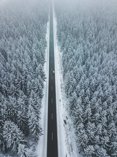 Long Straight Road Going Trough Foggy Winter Forest — Stock Photo, Image