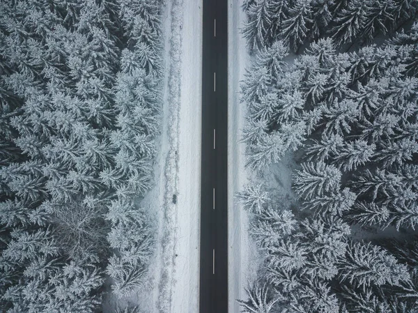 Длинная Прямая Дорога Проходит Через Туманный Зимний Лес — стоковое фото