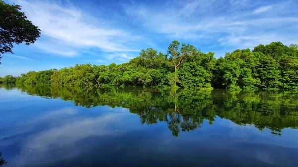 Paisaje Lago Con Vegetación Reflejándose Agua Bajo Cielo Azul Luz —  Fotos de Stock