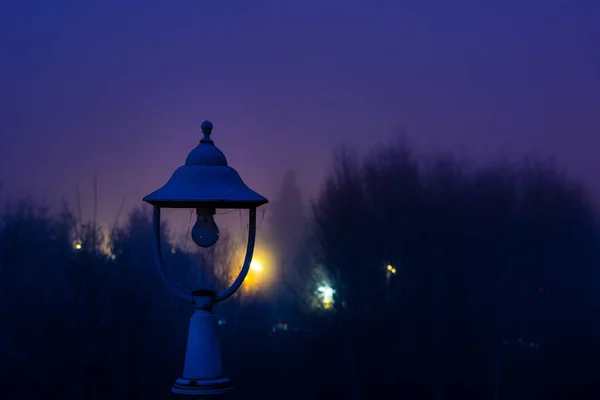 Enfoque Selectivo Una Vieja Lámpara Calle Sobre Fondo Borroso Niebla — Foto de Stock