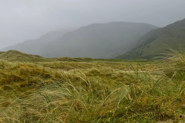 Paisaje Colinas Cubiertas Vegetación Niebla Campo — Foto de Stock