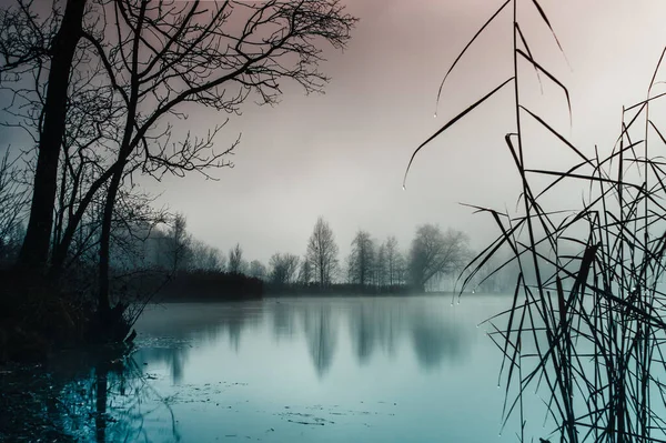 Naturskön Utsikt Över Gräs Och Träd Sjön Dimmig Bakgrund — Stockfoto