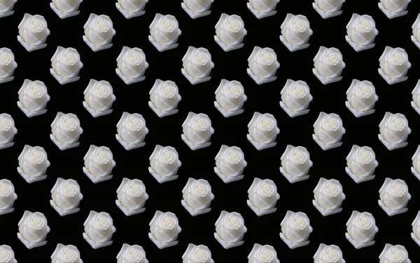 黑色背景上美丽的白玫瑰的无缝图案 — 图库照片