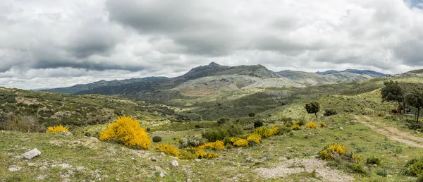 Vacker Grumlig Bergskedja Serrania Ronda Malagaprovinsen Andalusien Spanien — Stockfoto