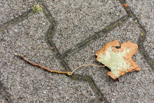 Der Steinboden Mit Rissen Und Einem Gegenstand Darauf — Stockfoto