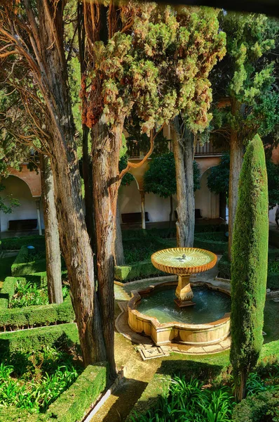 Pionowe Ujęcie Fontanny Otoczonej Drzewami Trawą Kompleksie Pałacowym Alhambra Granadzie — Zdjęcie stockowe