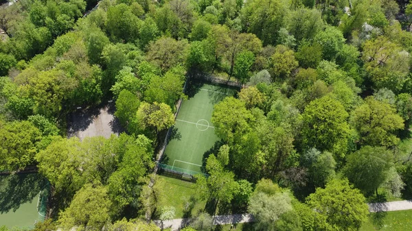 Uma Vista Aérea Campo Futebol Entre Árvores Verdes Dia Ensolarado — Fotografia de Stock