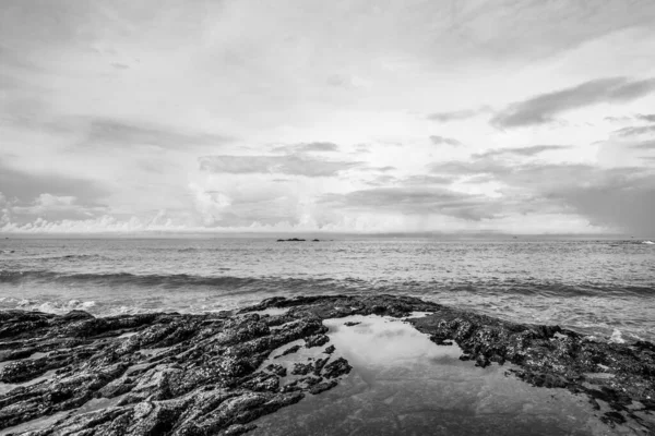 Grayscale Shot Rocky Beach Cloudy Sky — Stock Photo, Image