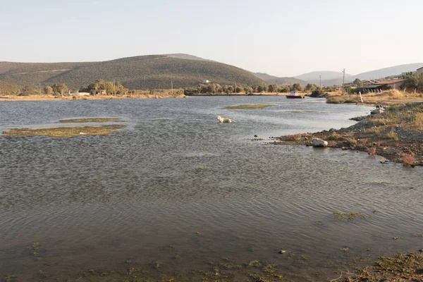 Tiro Close Uma Costa Lago Entre Colinas Dia Ensolarado — Fotografia de Stock