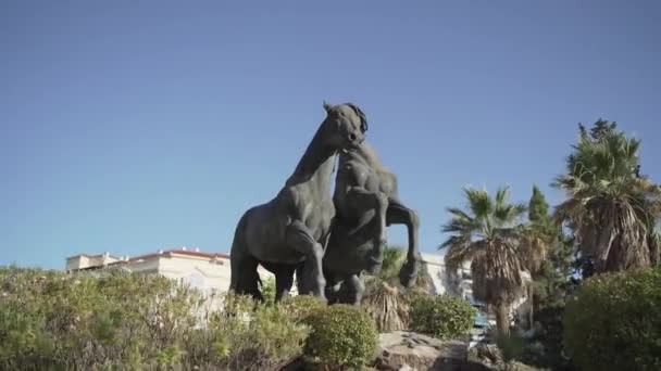 Imágenes Vista Inferior Estatua Dos Caballos — Vídeo de stock