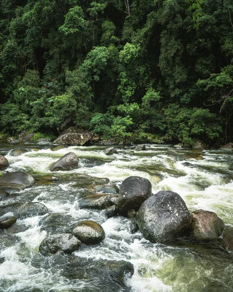 Rio Espumoso Correndo Uma Floresta — Fotografia de Stock