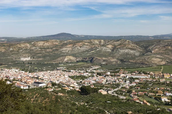 Egy Fehér Falu Antequera Régióban Olajfákkal Körülvéve Andalucia Spanyolország — Stock Fotó