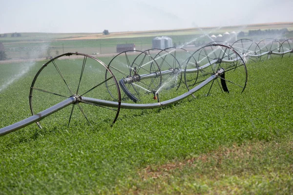 Ein Bewässerungsregner Spritzt Wasser Auf Die Grüne Wiese — Stockfoto