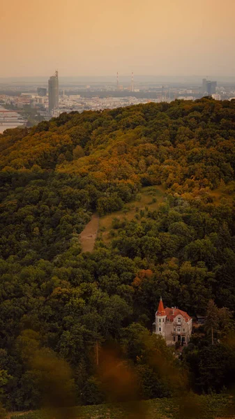 Старий Замок Лісах Леопольдсберга Біля Річки Дунай Відень Австрія — стокове фото