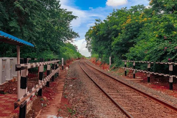Железнодорожные Пути Через Лес Дневном Свете — стоковое фото