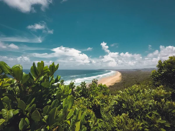 Uma Praia Azul Vegetação Dia Ensolarado — Fotografia de Stock