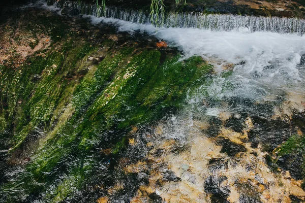 Potok Plava Voda Travniku Bosna Hercegovina — Stock fotografie