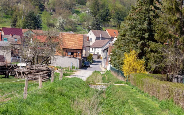Ein Einfacher Blick Auf Dorfhäuser Umgeben Von Bäumen Und Bergen — Stockfoto