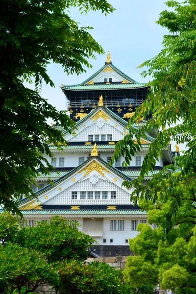 Plano Vertical Del Parque Del Castillo Osaka Osaka Japón —  Fotos de Stock