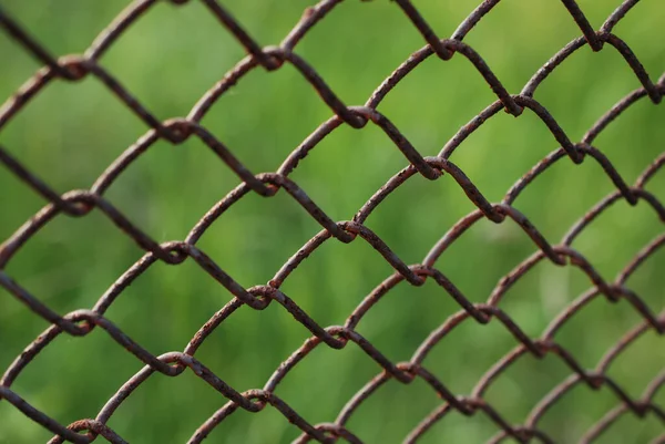 Ένα Κοντινό Πλάνο Ενός Φράχτη Μεταλλικό Δίχτυ Ένα Πράσινο Θολή — Φωτογραφία Αρχείου