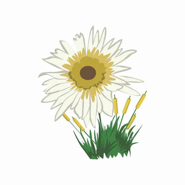 Een Daisy Bloem Kleur Clip Art Ontwerp — Stockfoto