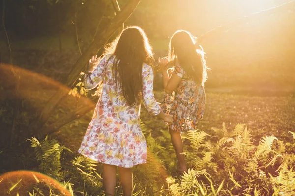 Дві Дівчини Полі Вкриті Листям Папороті Під Яскравим Сонячним Світлом — стокове фото