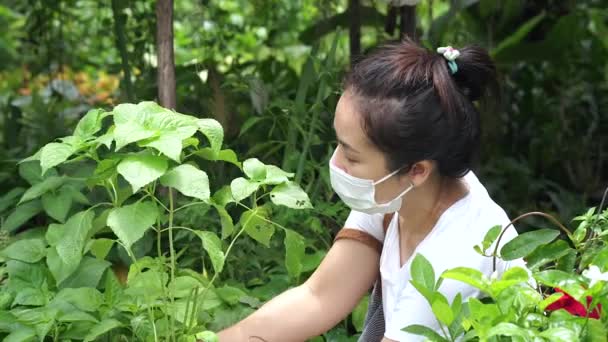 Woman Protective Face Mask Garden Plants — Stockvideo