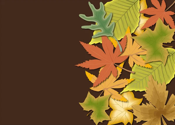 Schöner Hintergrund Mit Herbstblättern — Stockfoto