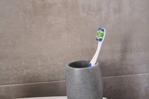 A closeup shot of a toothbrush in a holder in the bathroom