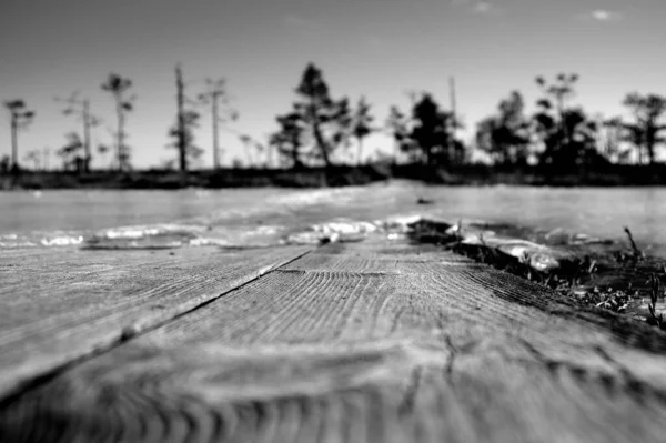 阳光灿烂的日子里一张木制表面的黑白照片 — 图库照片