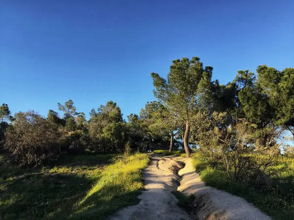 Vacker Bild Ett Naturlandskap — Stockfoto