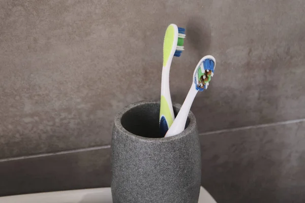 A closeup shot of two toothbrushes in a holder in the bathroom