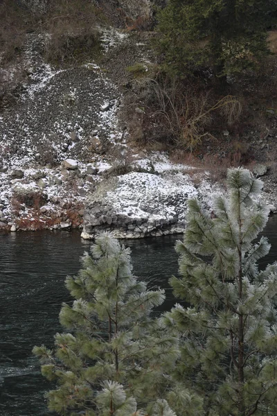 手前に川と木のある冬の風景の垂直ショット — ストック写真