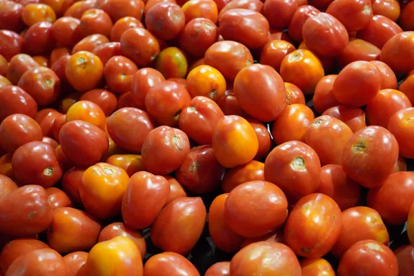 Primer Plano Tomate Fresco Mercado —  Fotos de Stock