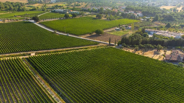 Vista Panorâmica Belo Prado Verde Perto Uma Pequena Aldeia Sob — Fotografia de Stock