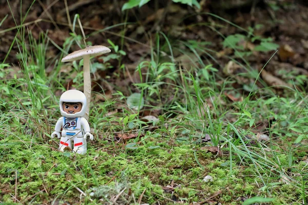 Greenville États Unis Juil 2021 Gros Plan Astronaute Jouet Lego — Photo