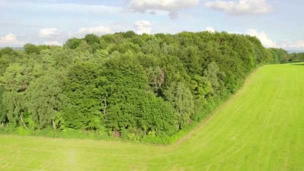 Luchtfoto Van Groene Velden Bossen Achtergrond — Stockvideo