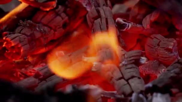 Огненное Пламя Деревянном Фоне — стоковое видео