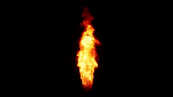 Flammes Feu Sur Fond Noir — Video