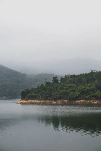 Tiro Vertical Lago Uma Floresta Densa Perto Dele Nevoeiro Hong — Fotografia de Stock