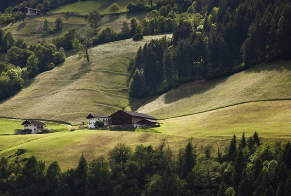 Casas Rurais Altas Montanhas Com Florestas Coníferas Prados Picos — Fotografia de Stock