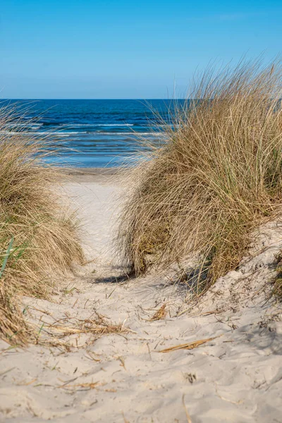 Mer Baltique Allemagne Est Très Connue Pour Son Paysage Dunes — Photo