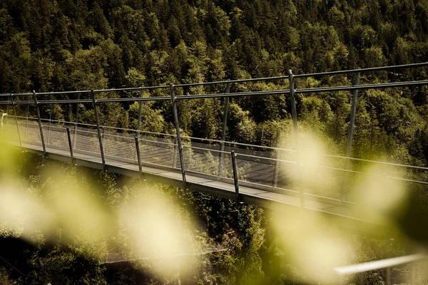 Uma Ponte Uma Floresta Uma Colina Através Licença Árvore — Fotografia de Stock