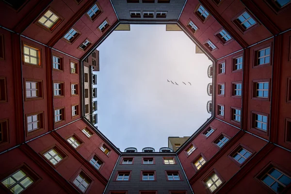 Nízký Úhel Záběru Budovy Ptáků Letících Obloze — Stock fotografie